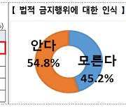 ‘무지개다리’ 건넌 멍멍이 땅에 묻었다고요?…불법입니다