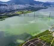 부산시 "보 건설 후 낙동강 수질 개선"에 부산 정치권 '발끈'