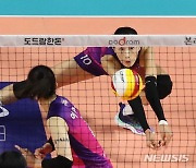 김연경 '집중'