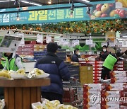 설 앞두고 과일 가격 전년대비 저렴