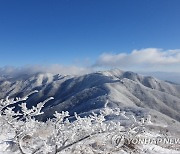 소백산국립공원 내 사유지 매수신청 접수…내달 12일 마감