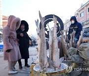 CHINA HEILONGJIANG FUYUAN FISH MARKET