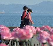 내일도 포근한 날씨 이어져…전국 비 예고