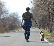 반려동물 불법판매시 최대 2년 징역...'불법' 어떤게 있나