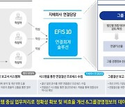 'EFIS 10'으로 신외부감사법 대응