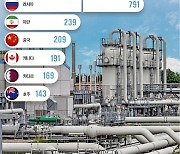 2차전지 핵심자원 보유국 '광물판 OPEC' 결성하나