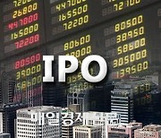 Investors grow more cautious in IPO market amid weak sentiment