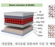 켄텍 이승진 교수 연구팀, QLED 발광효율 ↑기술