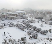 원광대학교 올해 등록금 동결 결정