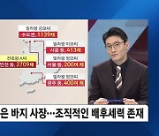 배후 세력은 따로 있었다?..숨진 빌라왕 '바지사장'