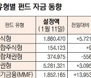 [데이터로 보는 증시]유형별 펀드 자금 동향(1월 11일)