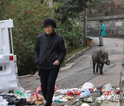 CHINA HONG KONG WILD BOARS