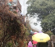 한라산 폭우에 장관 이룬 엉또폭포