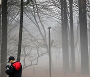 제주에 이틀만에 379㎜ '물폭탄'…창원·여수 1월 강수량 기록 경신