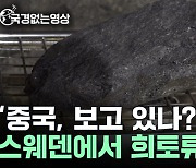 '중국 눈치 안 봐도 될까?'…스웨덴서 희토류 매장지 발견 [국경없는영상]