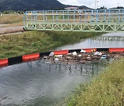 포어시스, 한국건설기술연구원·충남연구원과 해양쓰레기의 순환경제 '협약'