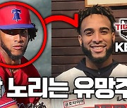 [야구인물사전]KIA타이거즈에서 부활 노리는 MLB 유망주, 아도니스 메디나는 누구?