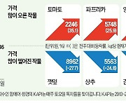 오늘 저녁엔 소고기 파티?…한우값 뚝, 뚝