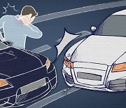 오르락 내리락 車보험료, '공임비 영향vs앓는 소리'