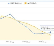 연초부터 뚝뚝 떨어지는 니켈값…"K 배터리 웃는다"