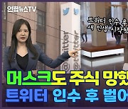 [세로뉴스] "왜 내 테슬라 주식 망했나" 머스크, 트위터 인수부터 사임까지 총정리