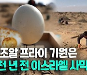 [영상] 이스라엘서 4천년전 타조알 파편 발굴…"화덕에서 조리"