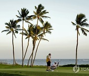 Sony Open Golf