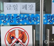 평창송어축제, 겨울비에 긴급 휴장