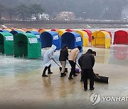 평창송어축제, 겨울비에 긴급 휴장