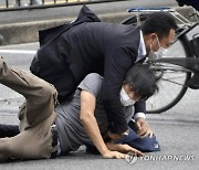 Japan Abe Shooting Suspect