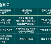 [보푸라기]'전세금 반환 보증보험' 아직 안 들었다고요?