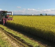 김제시, 자체 쌀 직불금 지원 예산 130억 원으로 상향