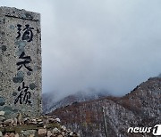 낮 12시 미시령 벌써 7.5㎝ 눈…강원북부산지 '대설경보'(종합)