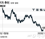 "테슬라 17억 풀매수"…A씨가 투자한 CFD '-20% 손실'?