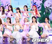 100억 들인 이달의소녀, 사실상 2소녀…공중분해 위기 [Oh!쎈 그알]