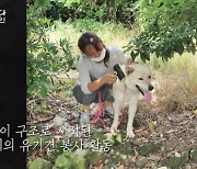 이효리, 개농장 구조견 ‘빼꼼’ 긴장하자 “제작진 뒤로 빠져볼게요” 배려 (‘캐나다체크인’)