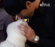 이도현, 송혜교 犬에 뽀뽀 쪽♥ 박성훈까지..'더 글로리'가 힐링물이었어?