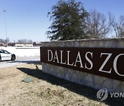 Dallas Zoo Missing Leopard