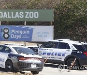 Dallas Zoo Missing Leopard