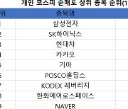 코스피 개인 순매도 1위 '삼성전자'