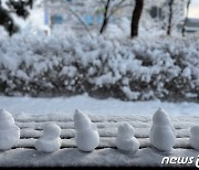 [오늘의 날씨] 강원(15일, 일)…전역에 눈, 산지 많은 곳 '최대 60㎝'