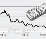 저무는 `킹달러` 시대… 달러 가치 7개월 전 수준으로 하락