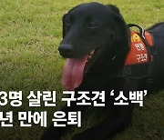 광주 붕괴때 철근밭 맨발 투혼…13명 살린 구조견 소백이 은퇴