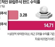 유럽 주식형 펀드 수익률 15% '으쓱'