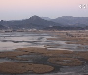 비닐하우스, 전신주 없애고···‘두루미 명소’ 순천, 귀한 손님 더 받는다