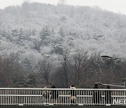 남산공원에 핀 상고대