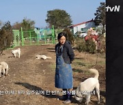 이효리, 충격적 개농장 현실에 탄식..”정신적으로 힘들어서 못가” (‘캐나다체크인’)[어저께TV]