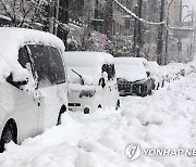 폭설에 운행 포기한 차량