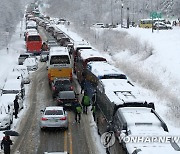 폭설에 꼼짝 못 하는 차들