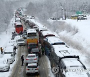 폭설에 꼼짝 못 하는 차들